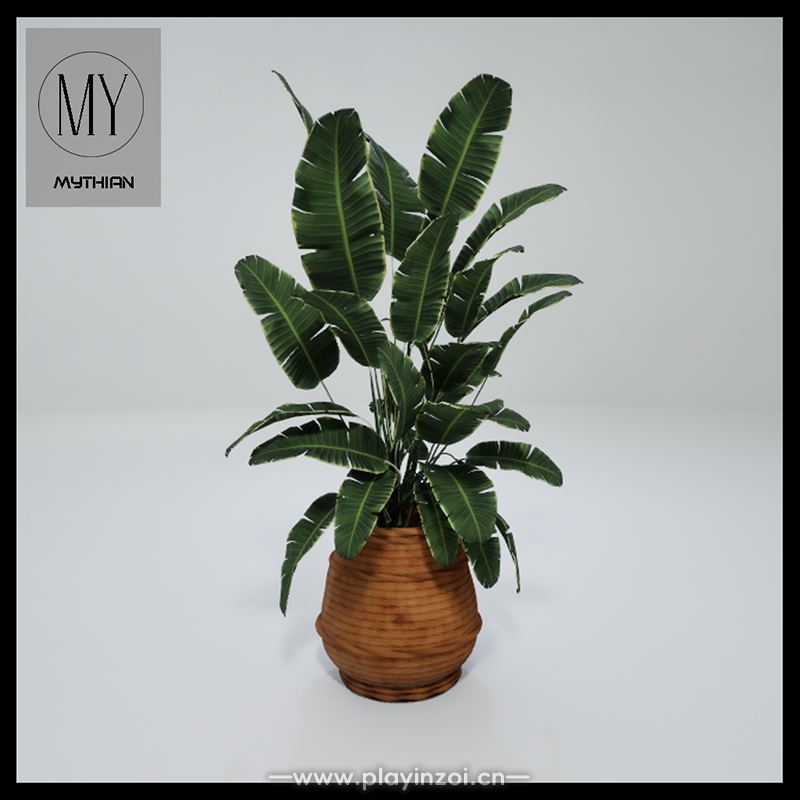 植物1.png