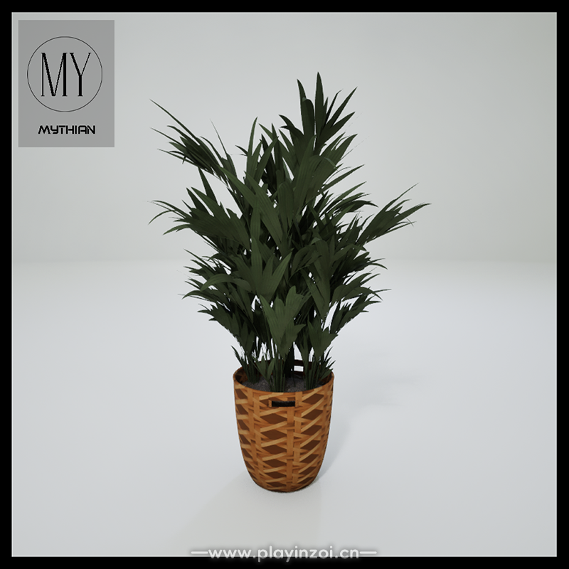 植物3.png